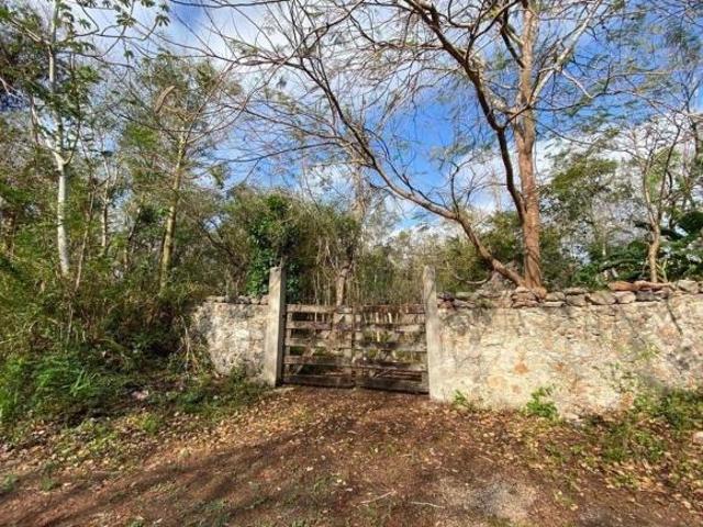 Rancho en venta en Yaxcabá, Yucatán