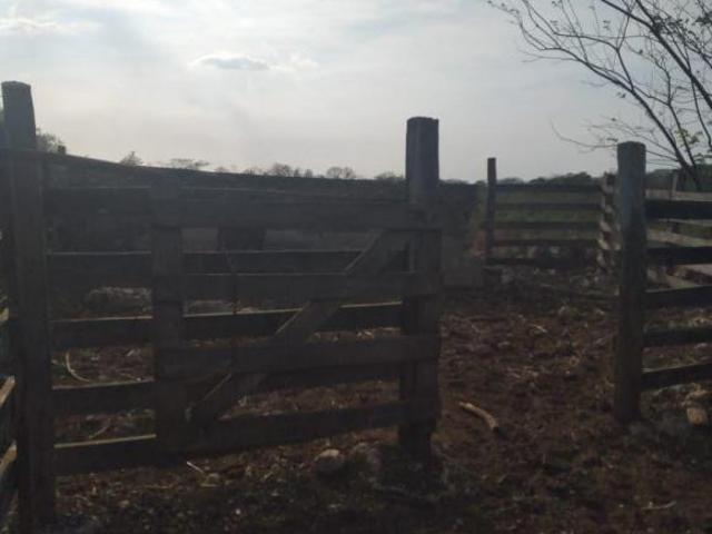 Rancho en venta en Temax, Yucatán