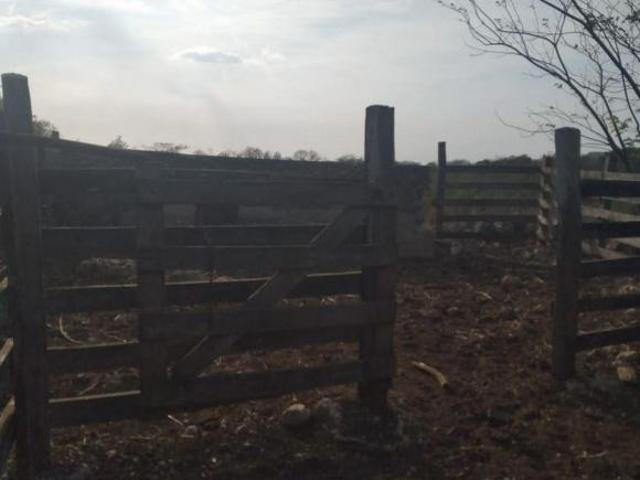 Rancho en venta en Temax, Yucatán