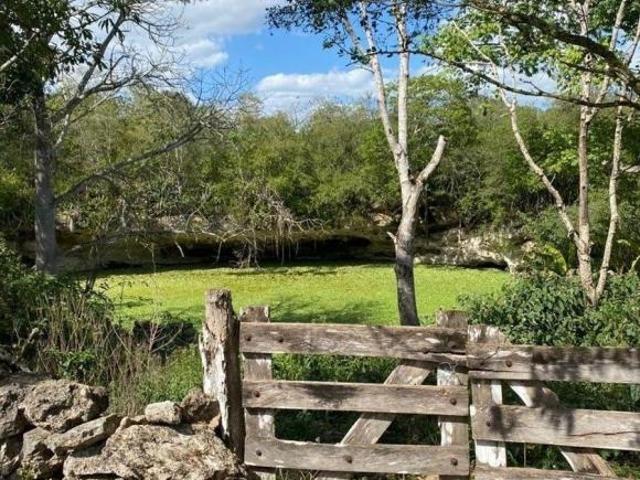 Rancho en venta en Panabá, Yucatán
