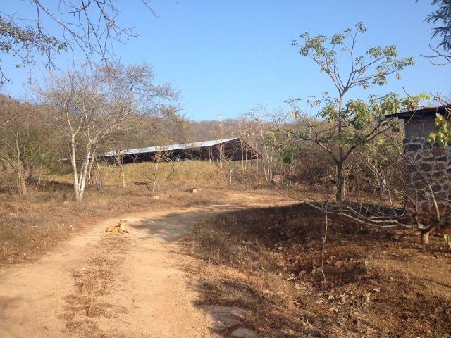 Rancho en venta en Cintalapa, Chiapas