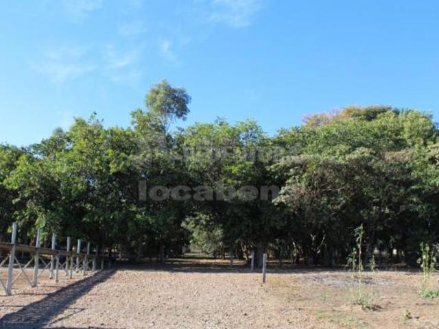 Sítio e chácara venda em Região Imediata de São José do Rio Preto, Região Metropolitana de São José do Rio Preto