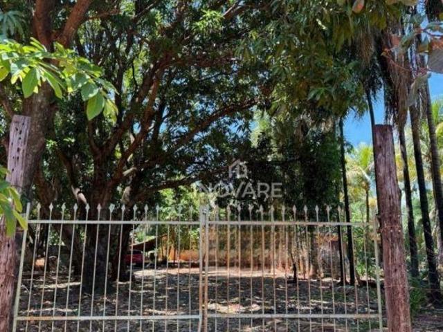 Sítio e chácara venda em Região Imediata de São José do Rio Preto, Região Metropolitana de São José do Rio Preto