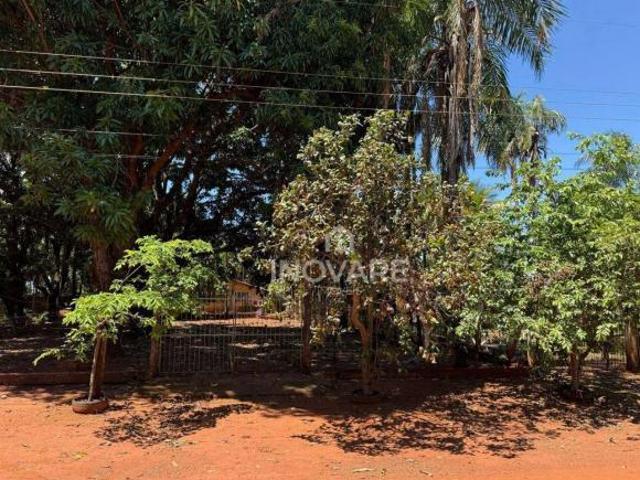 Sítio e chácara venda em Região Imediata de São José do Rio Preto, Região Metropolitana de São José do Rio Preto