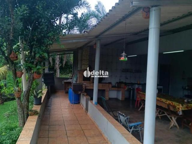 Sítio e chácara venda em Região Geográfica Imediata de Uberlândia, Oliveira Fortes