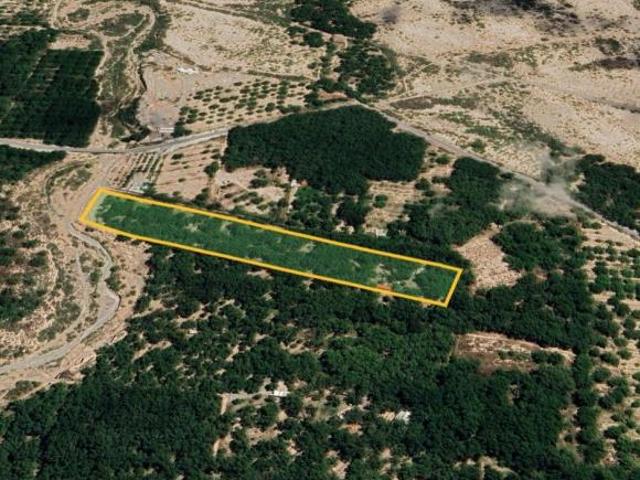 Rancho con 25000 m² en venta, 1 habitación, Parras