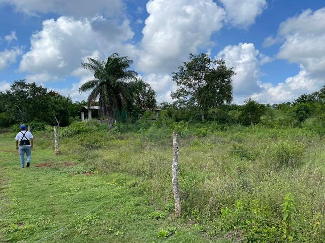 Rancho en venta en Tzucacab, Yucatán