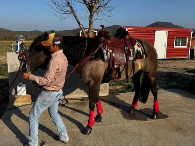Rancho en venta en Linares, Nuevo León