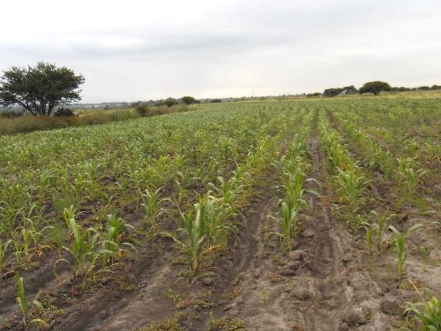 Rancho en venta en Huichapan, Hidalgo