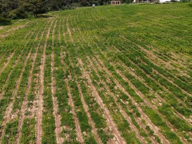 Rancho en venta en Santa María Del Oro, Jalisco