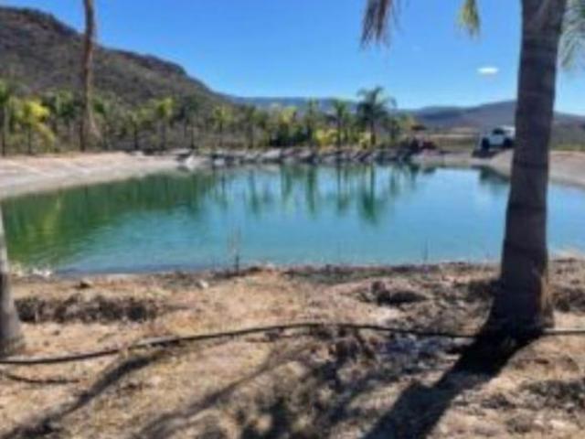 Rancho con huerta de Cítricos en Venta en Calvillo