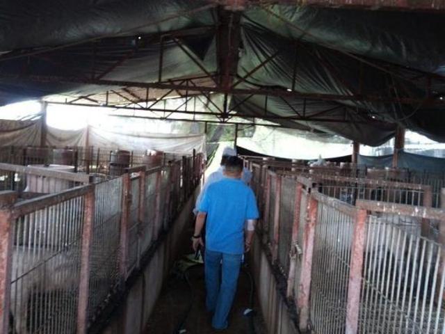 Rancho en venta en Chapab, Yucatán