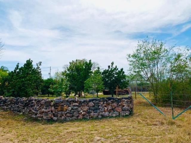 Rancho en venta en Yobaín, Yucatán