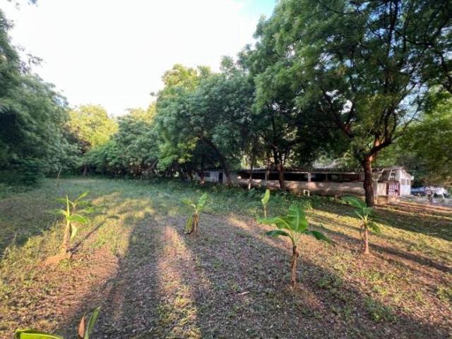 Rancho con Sistema de Riego Automatizado en VENTA, ubicado en Parrilla 5ta Sección, Villahermosa,Tab