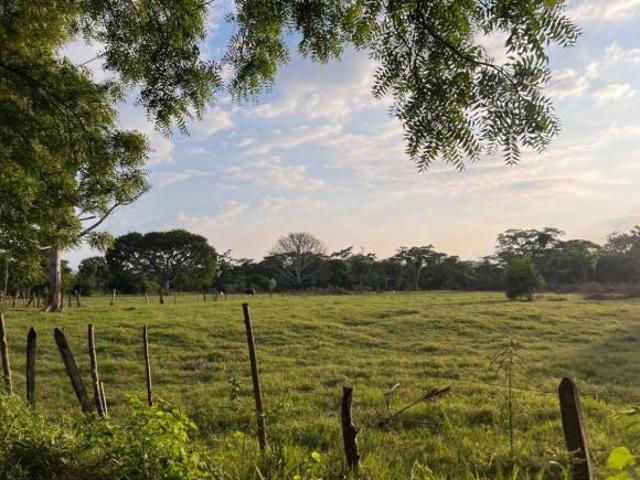 Rancho con Sistema de Riego Automatizado en VENTA, ubicado en Parrilla 5ta Sección, Villahermosa,Tab
