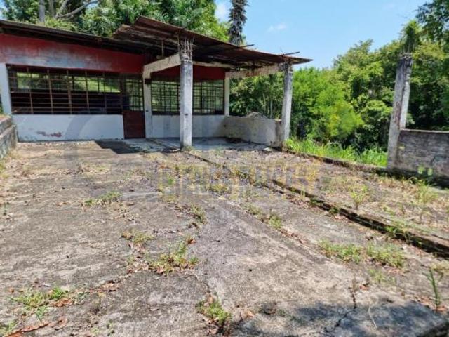 RANCHO CON TODAS LAS INSTALACIONES DE UNA EMPACADORA DE LIMÓN