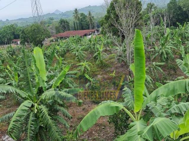 RANCHO CON TODAS LAS INSTALACIONES DE UNA EMPACADORA DE LIMÓN