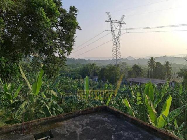 RANCHO CON TODAS LAS INSTALACIONES DE UNA EMPACADORA DE LIMÓN