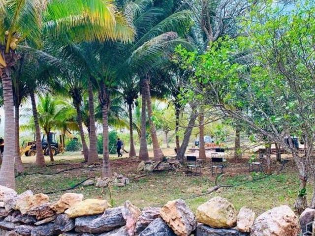 Rancho en venta en Yobaín, Yucatán