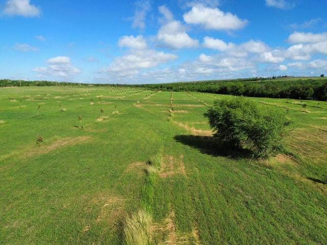 Rancho en venta en Hualahuises, Nuevo León