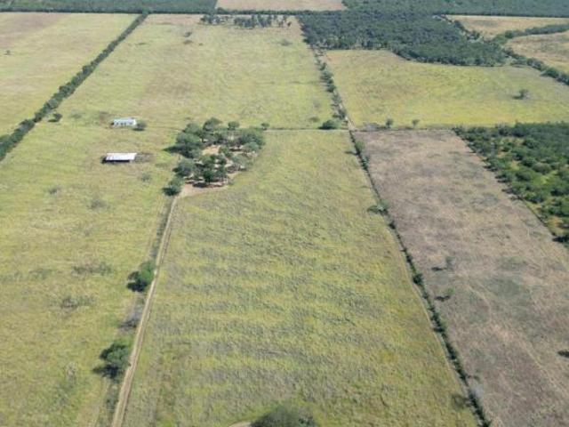 RANCHO DE 13 HA EN LINARES