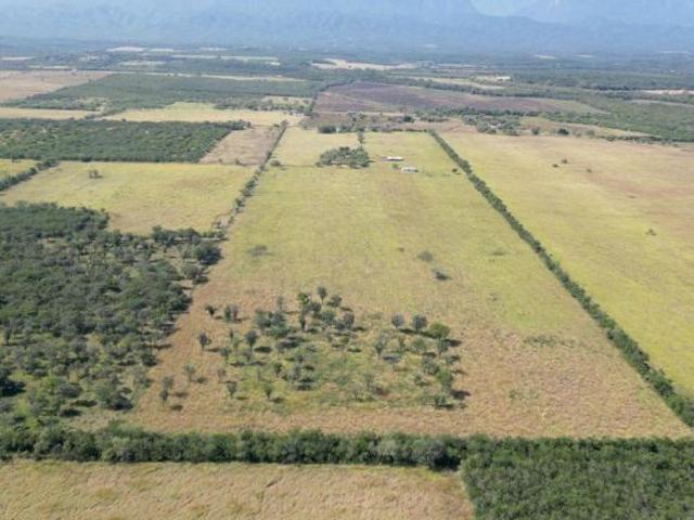 RANCHO DE 13 HA EN LINARES