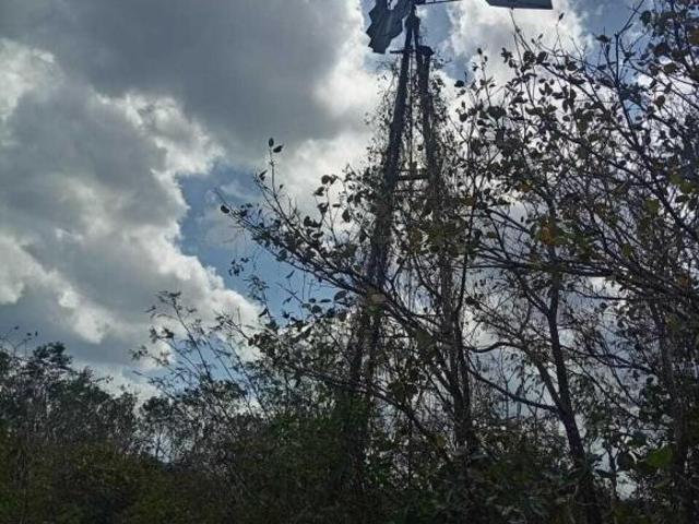 Rancho en venta en Cenotillo, Yucatán