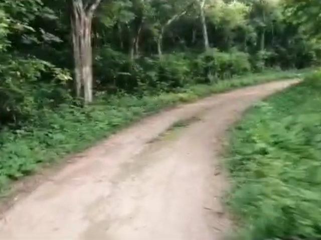 Rancho en venta en Calotmul, Yucatán