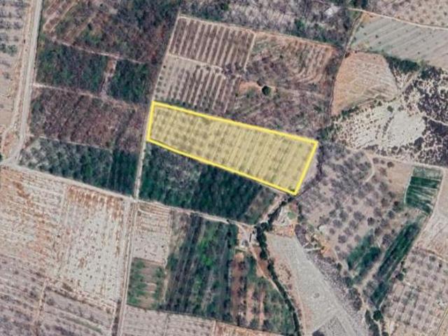 Rancho de 25000 m2 superficie de terreno en venta en Parras