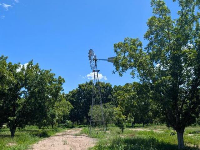 Rancho de 25000 m2 superficie de terreno en venta en Parras