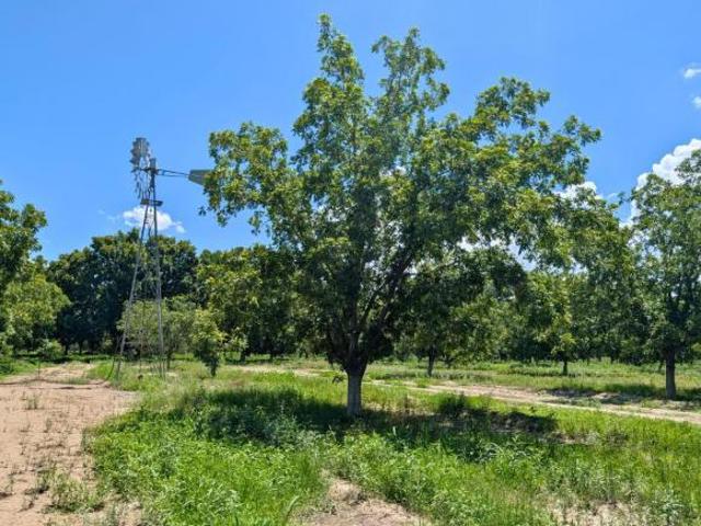 Rancho de 25000 m2 superficie de terreno en venta en Parras