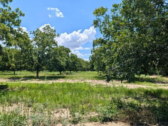 Rancho de 25000 m2 superficie de terreno en venta en Parras