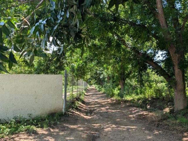 Rancho de 25000 m2 superficie de terreno en venta en Parras