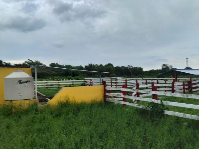 Rancho en venta en Benito Juárez, Quintana Roo