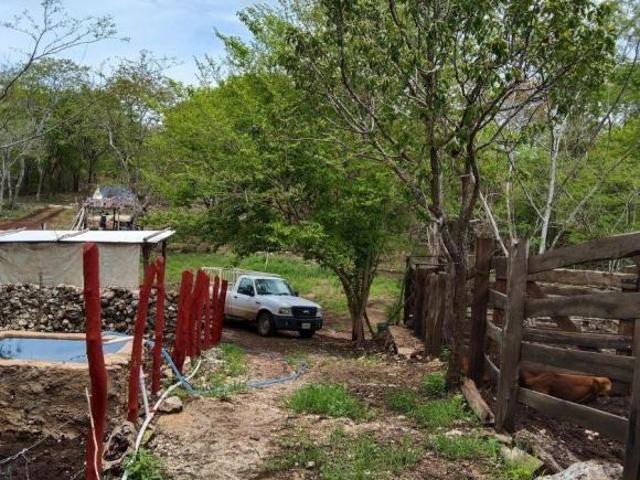 Rancho en venta en Espita, Yucatán