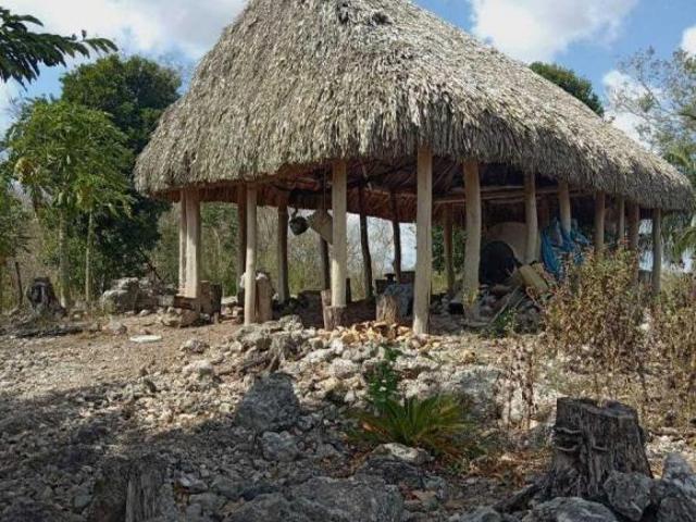 Rancho en venta en Cenotillo, Yucatán