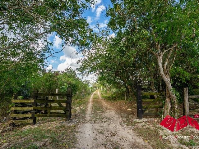 Rancho en venta en Panabá, Yucatán