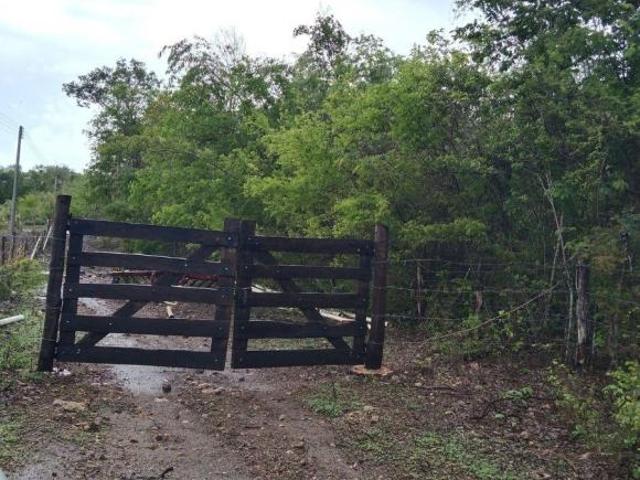 Rancho en venta en Espita, Yucatán
