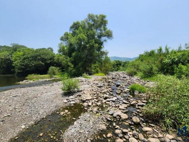 RANCHO DE 80 HECTAREAS EN VENTA EN ALTO LUCERO I ARLETTE FLORES