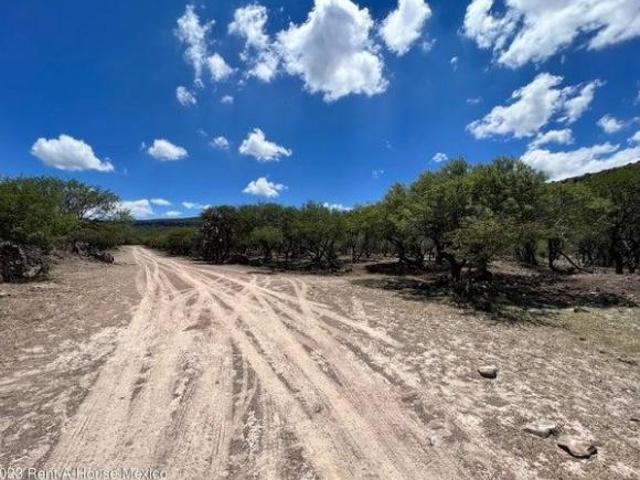 Rancho en venta en Apaseo El Alto, Guanajuato