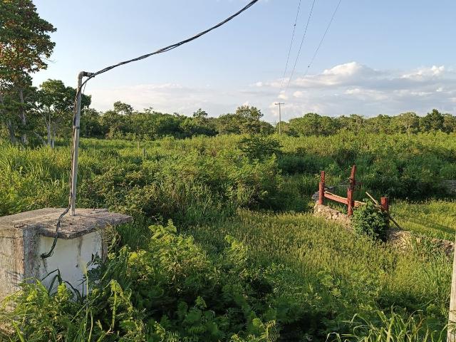 Rancho en venta en Acanceh