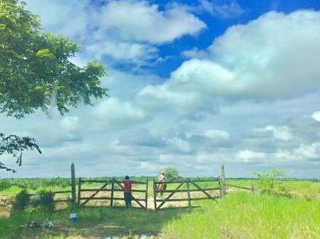 Quinta en venta en Palizada, Campeche
