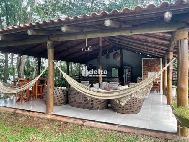 Sítio e chácara venda em Região Geográfica Imediata de Uberlândia, Oliveira Fortes