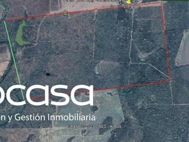 Terreno en venta en Aldama, Tamaulipas