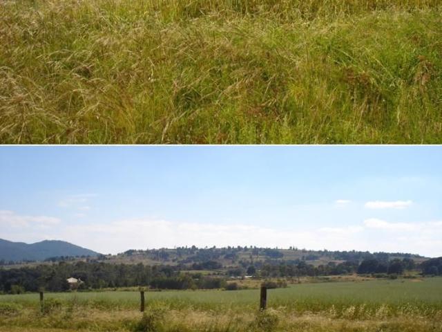 Rancho en venta en Amealco De Bonfil, Querétaro
