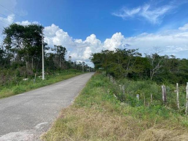 Rancho en venta en Cantamayec, Yucatán