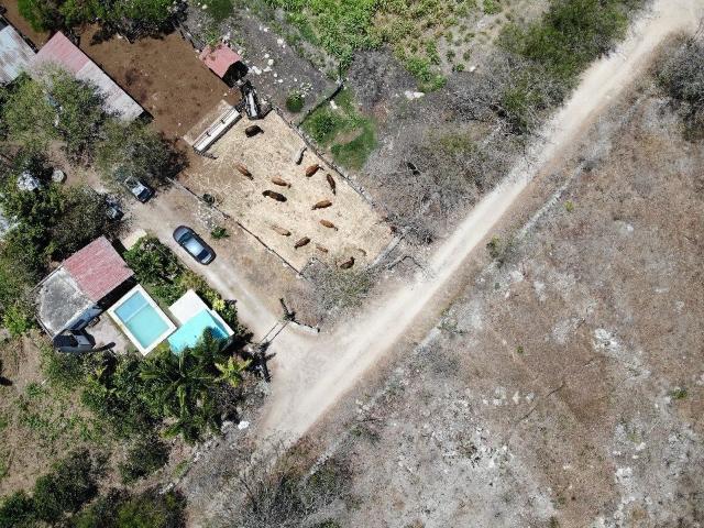 Rancho en venta en Conkal, Yucatán