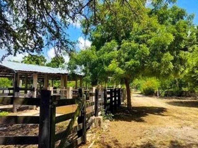 Terreno en venta en Hocabá, Yucatán