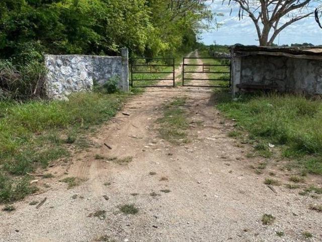 Rancho en venta en Colonia Kinich Kakmó, Izamal