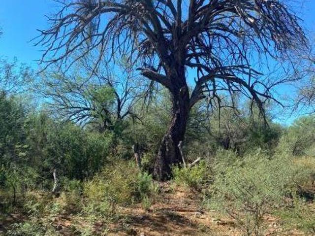 Terreno en venta en Lampazos De Naranjo, Nuevo León